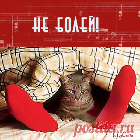 Простуда. - ДОМАШНИЙ ОЧАГ - медиаплатформа МирТесен