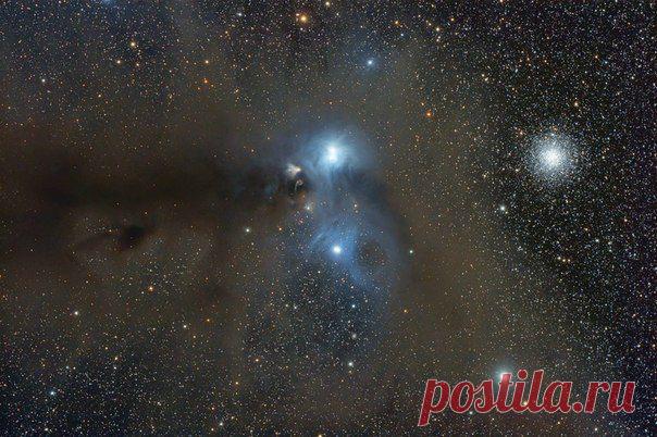 Звёзды и пыль в Южной Короне / Интересный космос