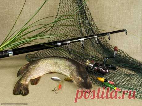 рыбалка фото для декупажа: 10 тыс изображений найдено в Яндекс.Картинках