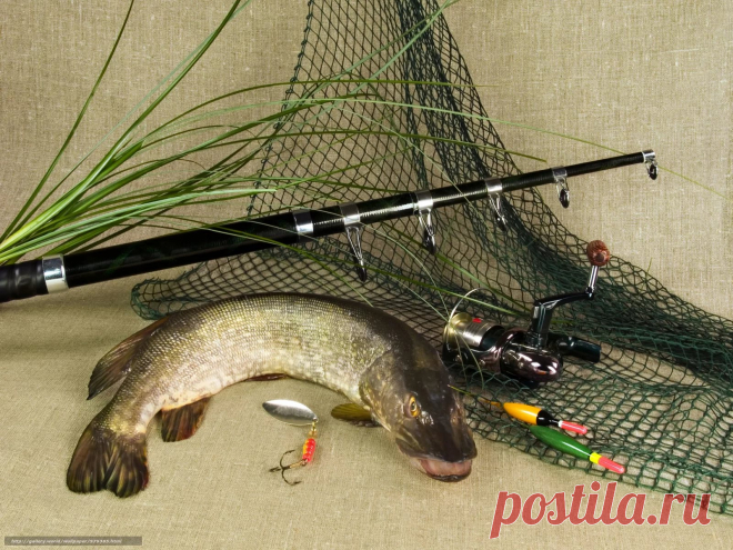 рыбалка фото для декупажа: 10 тыс изображений найдено в Яндекс.Картинках