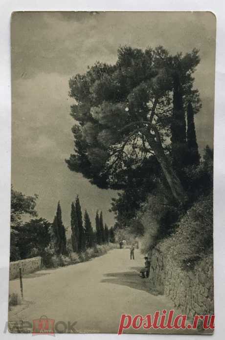 Открытка «Алупка. Нижняя дорога». № 76. Из серии «Виды Крыма фот. Василия Сокорнова». 1912 г.