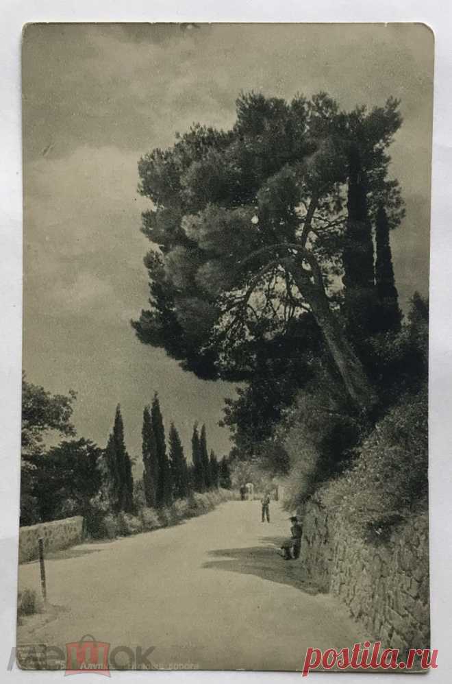 Открытка «Алупка. Нижняя дорога». № 76. Из серии «Виды Крыма фот. Василия Сокорнова». 1912 г.