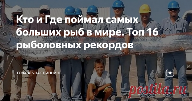 Кто и Где поймал самых больших рыб в мире. Топ 16 рыболовных рекордов 16). Место: Сельдяной король(рыба-ремнь). Самая большая особь этого вида(официально зарегистрированная), достигала 11 метров длны и массы в 272 килограмма. Рыба встречается в тёплых и умеренно тёплых водах Тихого, Атлантического и Индийского океанов. Промысловой ценности не имеет, мясо не съедобное. 15). Место: Гигантский шильбовый сом. Гигантский шильбовый сом встречается в низовьях реки Меконг, Тонлеса...