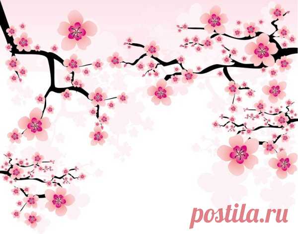 ветка сакуры рисунок: 14 тыс изображений найдено в Яндекс.Картинках