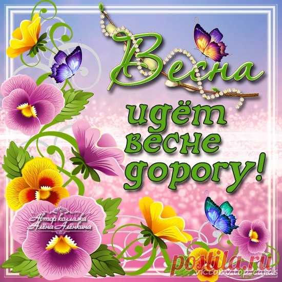 🍃💐🌷🌼🌱