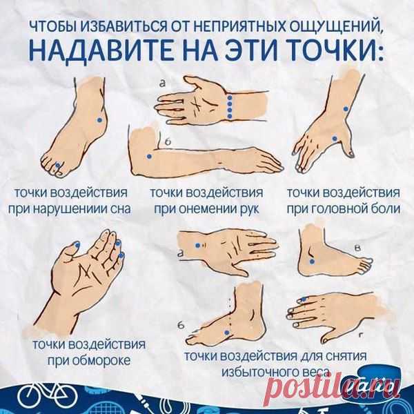 Я И НЕ ЗНАЛА | Записи в рубрике Я И НЕ ЗНАЛА | Дневник lalimur (Марина Манукова)