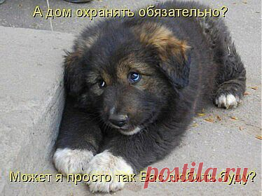 Анна Артюх