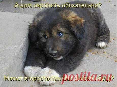 Анна Артюх