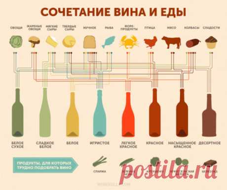 Как правильно сочетать вино и еду