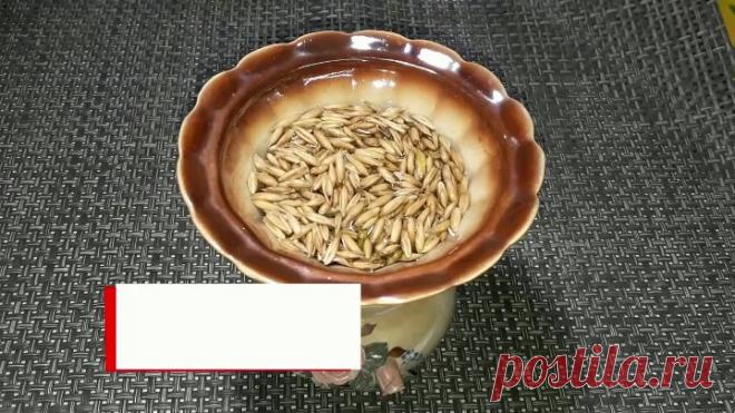 Выпила стакан с утра и забыла про шум в ушах, плохое зрение и больной кишечник.