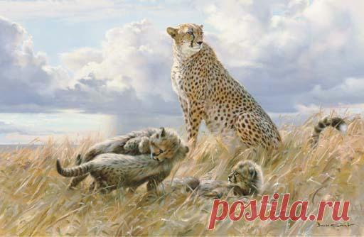 Английский художник-анималист Donald Grant (47 работ) » Картины, художники, фотографы на Nevsepic