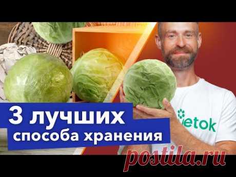КАПУСТА СОХРАНИТСЯ СОЧНОЙ И ХРУСТЯЩЕЙ ДО ВЕСНЫ! 3 лучших способа хранения в погребе и на балконе