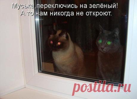 переключись