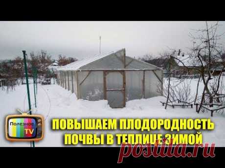 ОБЯЗАТЕЛЬНО СДЕЛАЙТЕ ЭТО В ТЕПЛИЦЕ ЗИМОЙ ЧТОБЫ ПОВЫСИТЬ ПЛОДОРОДНОСТЬ ПОЧВЫ