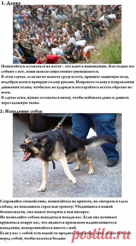 Лайфхак по-выживанию | Хитрости Жизни