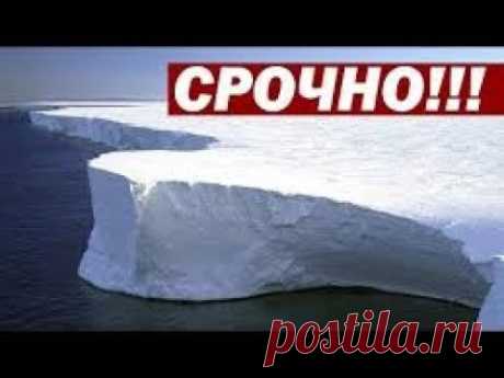__ В АНТАРКТИДЕ ЖИВУТ ХРАНИТЕЛИ__
