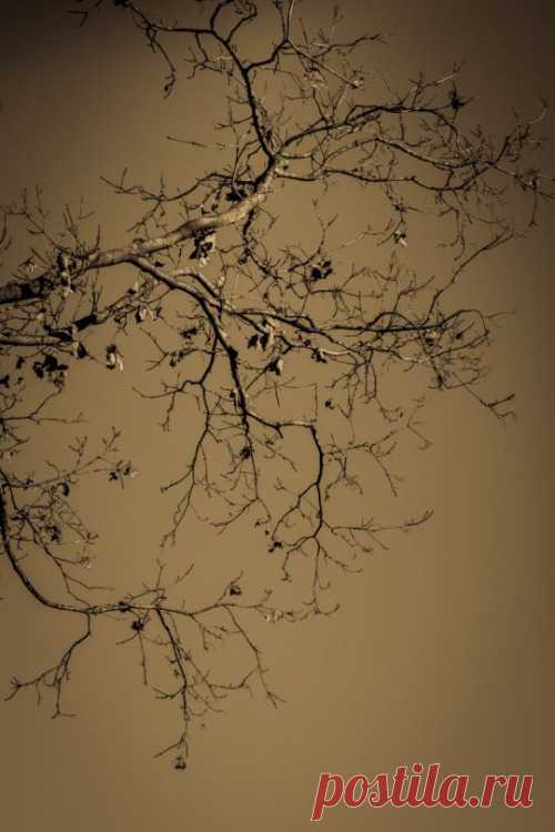 What if winter is not a place outside?