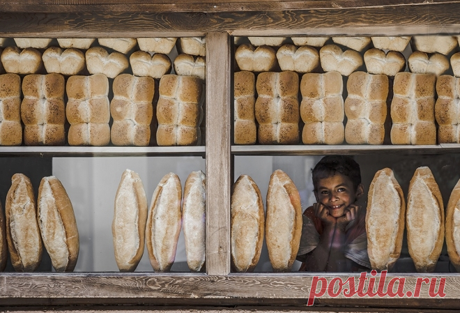 Fresh from the Oven: Baked Bread in Photographs - Stockvault.net Blog