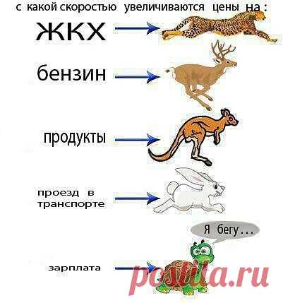 Дневник piskla