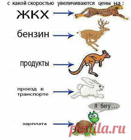 Дневник piskla