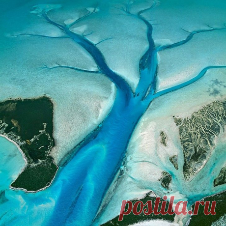Великолепие Водной Стихии