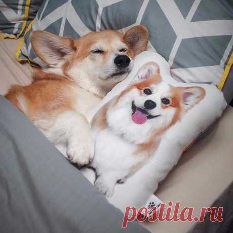 Слишком мило!