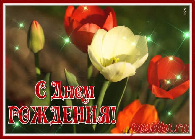 Открытка с днем рождения женщине со свежими тюльпанами - приятное и искреннее поздравление онлайн. Открытка с днем рождения женщине со свежими тюльпанами, скачать и отправить бесплатно.