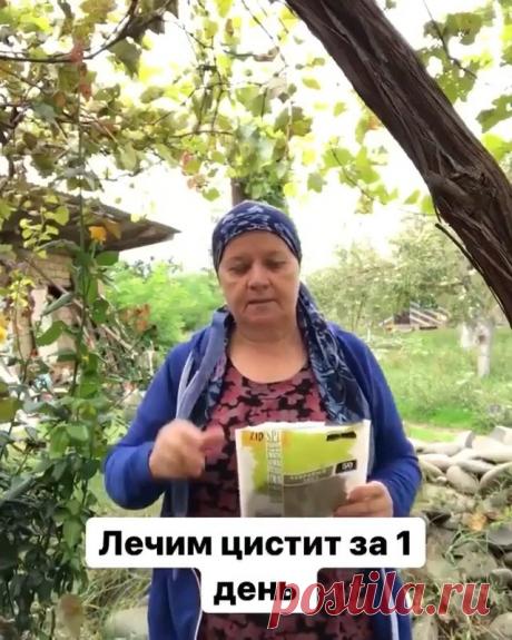 ЛЕЧЕБНИК ИЗ ПРОШЛОГО (@lekari_proshloe_yx) сделал(-а) публикацию в Instagram: "Был ли у вас когда нибудь цистит? ⠀ Смотрите видео со звуком😇 ⠀ Отзовитесь в комментариях кто досмотрел до конца🙏🏼 ⠀ Подписывайтесь, чтобы…" • 8 Янв 2022 в 7:37 UTC