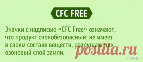 19 советов, как выбрать и чем заменить токсичную бытовую химию