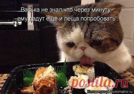 ВНИМАНИЕ ,ВНИМАНИЕ !!!! .??? Идет набор сотрудников в легальную компанию! Работа не выходя со страницы в Одноклассниках ! Зарплата каждый месяц на банковскую карту!!!! Помощь в выходе на зарплату,полное бесплатное обучение. Интересно, ставьте 333 в комментарии, вышлю инфо!