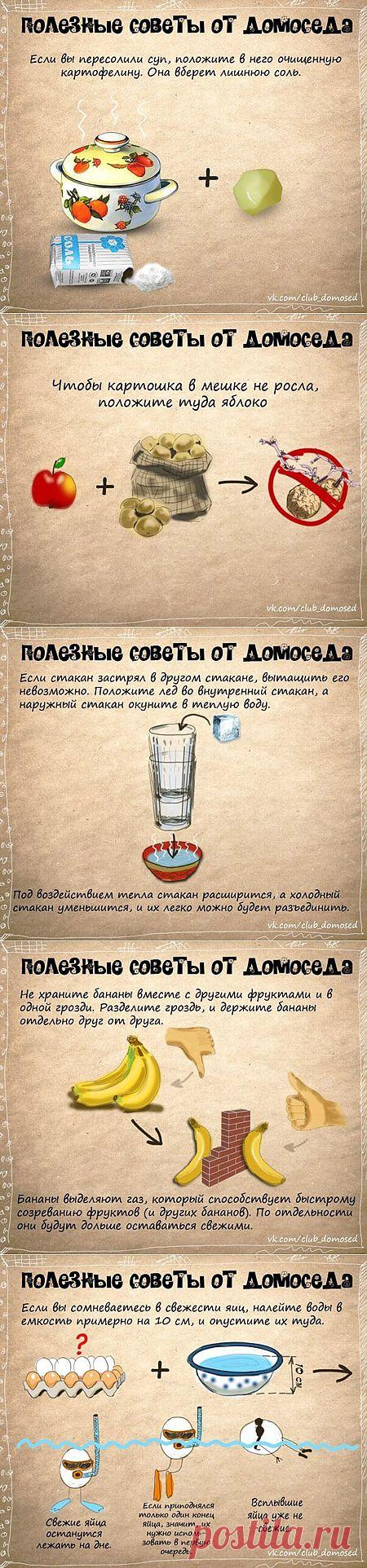 ДОМОВОДСТВО. ПОЛЕЗНЫЕ СОВЕТЫ.