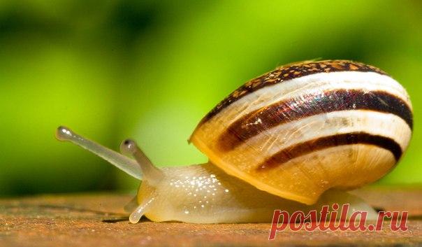 Мудрые и короткие притчи | Притчи