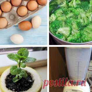 10 садовых хитростей для продвинутых дачников