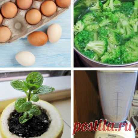 10 садовых хитростей для продвинутых дачников