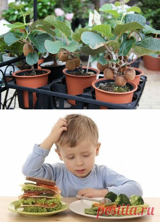 (9) Одноклассники