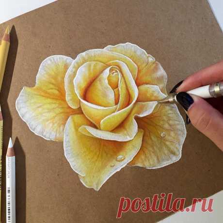 Публикация 🌸 Lahar Studios 🌸 в Instagram • Сен 24 2016 в 6:07 UTC 9,963 отметок «Нравится», 87 комментариев — 🌸 Lahar Studios 🌸 (@kellylahar) в Instagram: «Which flower is your favorite!?!🌸🌸🌸 #coloredpencil #flower #rose #drawing»