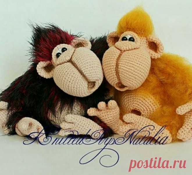 Из чего сделана шерсть?