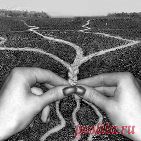 — В жизни всегда будут черные и белые полосы?
Шаман улыбнулся. — У большинства. Но некоторые осознали, что есть нечто другое и оставили свое внимание там. 
— Как узнать или ощутить это нечто другое?
— Все очень просто, если ты расстроен, значит ты живет в прошлом, если ты чем-то обеспокоен, ты живешь в будущем, если ты испытываешь блаженство и легкость, ты живешь в настоящем.
Шаман посмотрел в мои глаза: 
— Где ты сейчас?

© Владимир Серкин ,
 "Хохот шамана"
