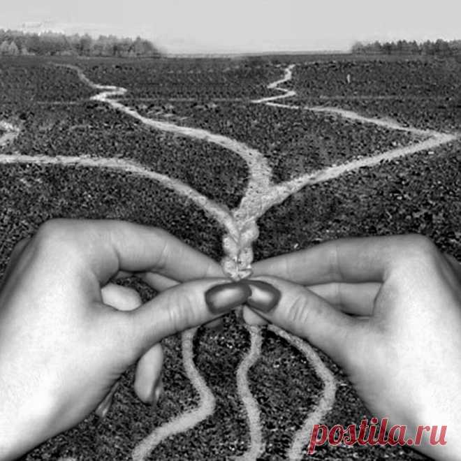 — В жизни всегда будут черные и белые полосы?
Шаман улыбнулся. — У большинства. Но некоторые осознали, что есть нечто другое и оставили свое внимание там. 
— Как узнать или ощутить это нечто другое?
— Все очень просто, если ты расстроен, значит ты живет в прошлом, если ты чем-то обеспокоен, ты живешь в будущем, если ты испытываешь блаженство и легкость, ты живешь в настоящем.
Шаман посмотрел в мои глаза: 
— Где ты сейчас?

© Владимир Серкин ,
 