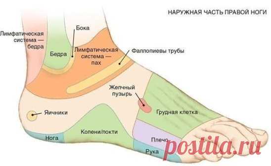 7 АКТИВНЫХ ТОЧЕК НА СТОПЕ ВЕРНУТ ВАС К ЖИЗНИ ЗА ПАРУ МИНУТ!
