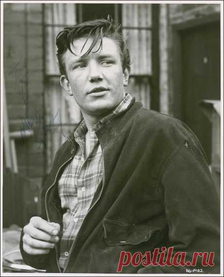 Альберт Финни (Albert Finney)
- 9 мая, 1936