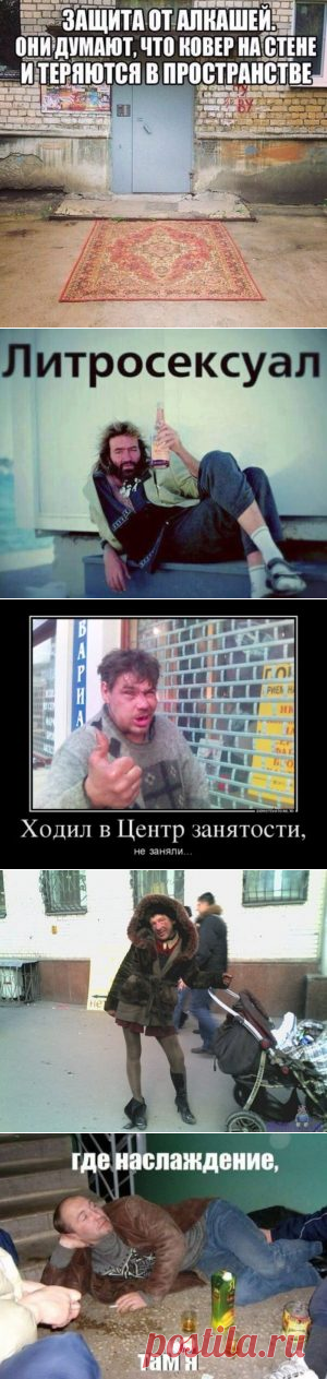 Пьяные приколы. Угарные картинки с алкоголиками и пьяницами