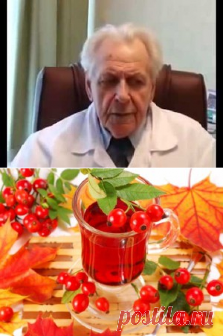 Лечение печени по Неумывакину, чистка печени и почек шиповником от Ивана Павловича