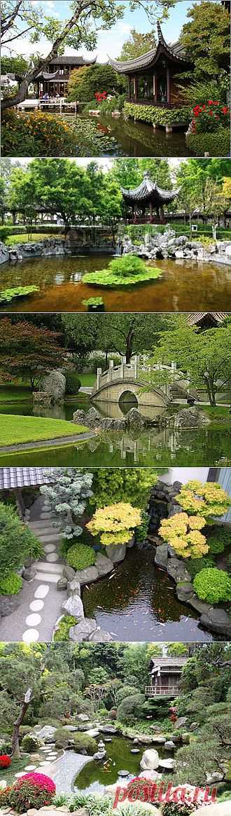 Консультация: Чем китайский сад отличается от японского? | Блог «Хочу на дачу»