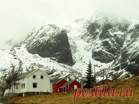 фото Никиты Си / Удивительное искусство