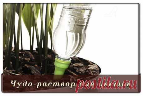 Женский клуб &quot;Каблучок&quot;