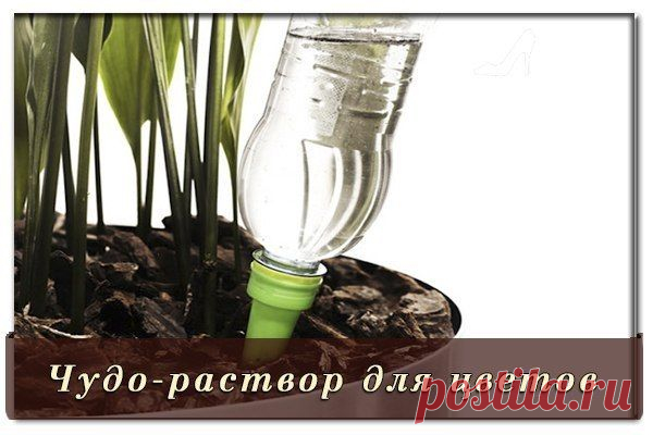 Женский клуб "Каблучок"