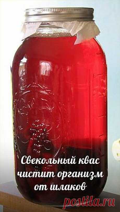 еда: Кулинарные рецепты