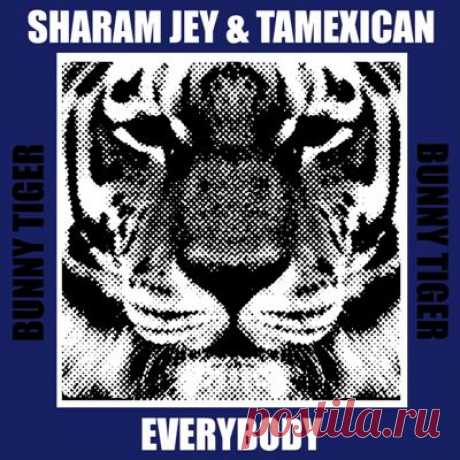 Sharam Jey, Tamexican - Everybody