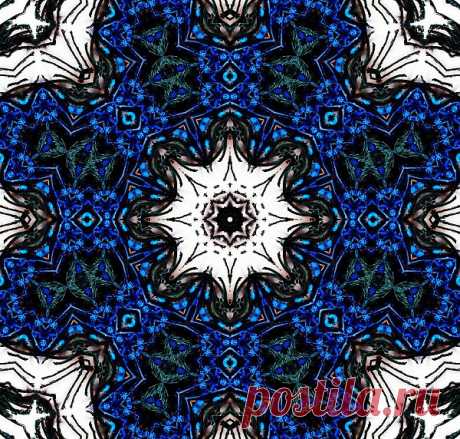 Flower Patterned Ornament  Free Stock Photo HD - Public Domain Pictures